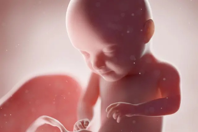 ළදරු මරණවලින් 40%ක් උපත් ආබාධ නිසා